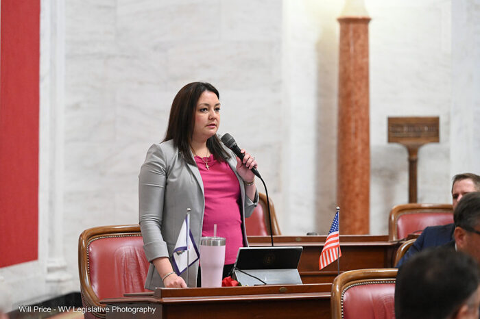 A woman with brown hair wearing a pink shirt and grey jacket speaks into a microphone as she stands in front of a brown desk with an American flag and a brown leather chair behind her.