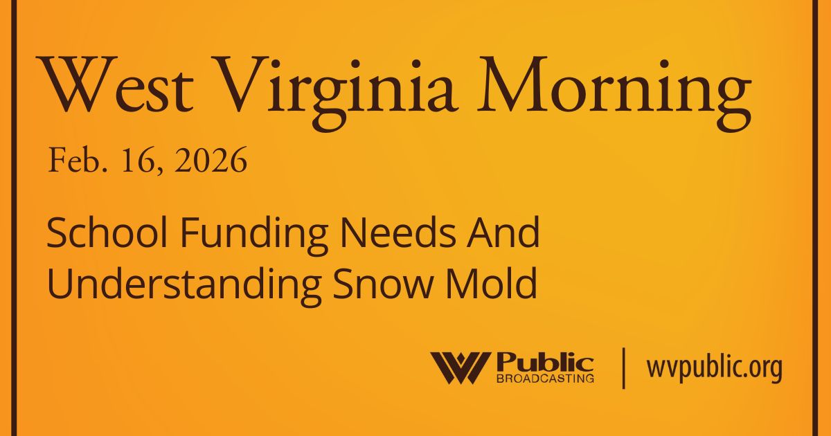 School Funding Needs And Understanding Snow Mold, This West Virginia Morning