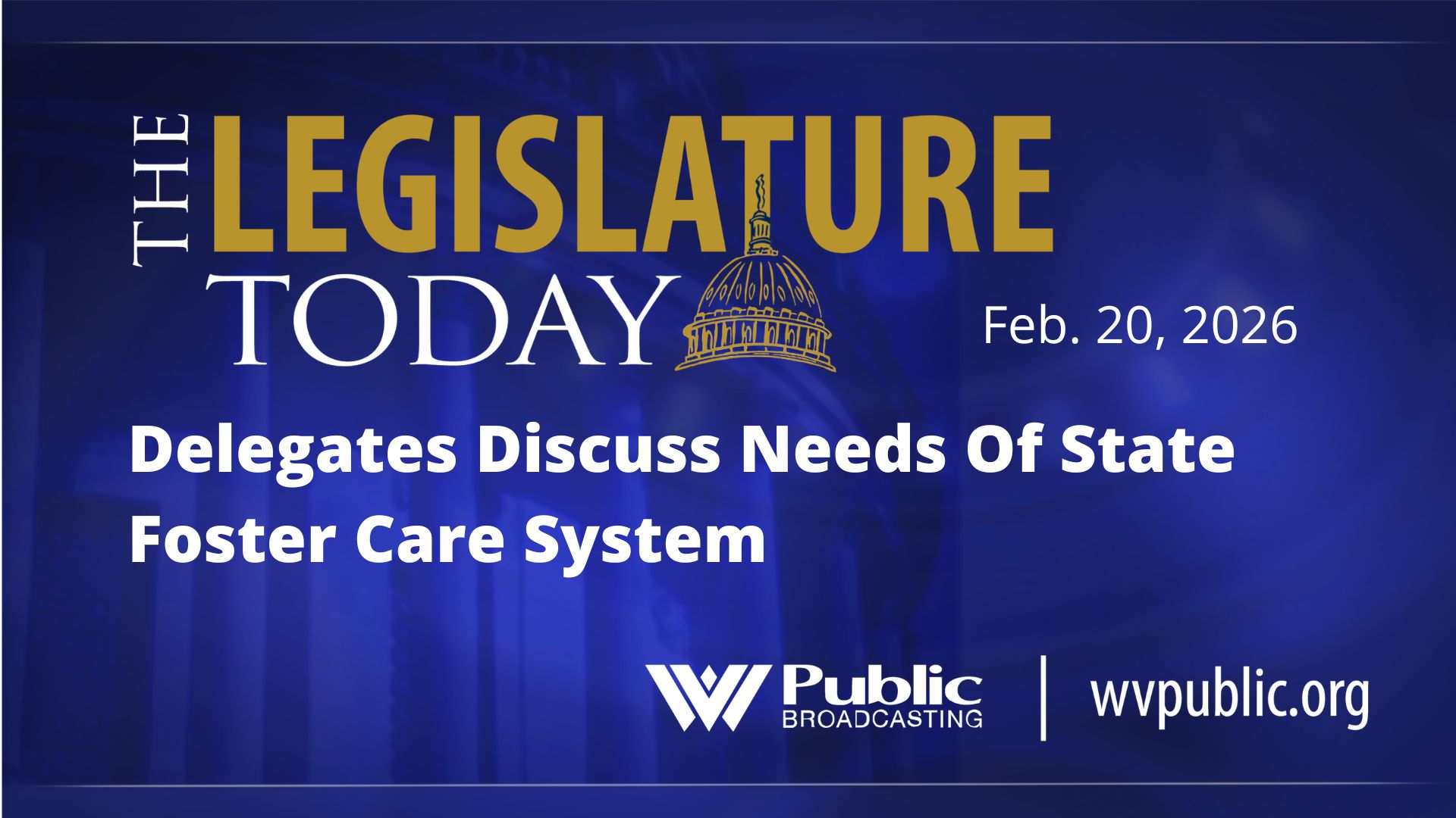 Delegates Discuss Needs Of State Foster Care System