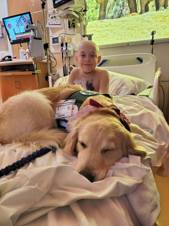A child with a golden retriever in bed.