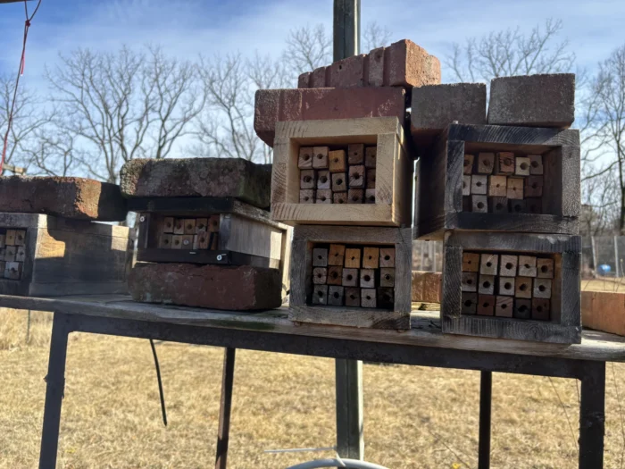 A stack of boxes on a table outside. Inside the boxes are cubed pieces of wood with drilled holes in the middle. 