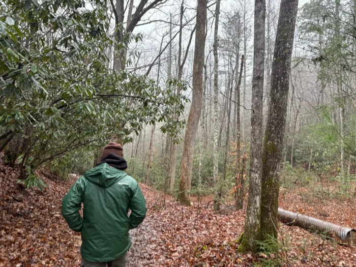 A person walking through rainy, cloudy woods. 
