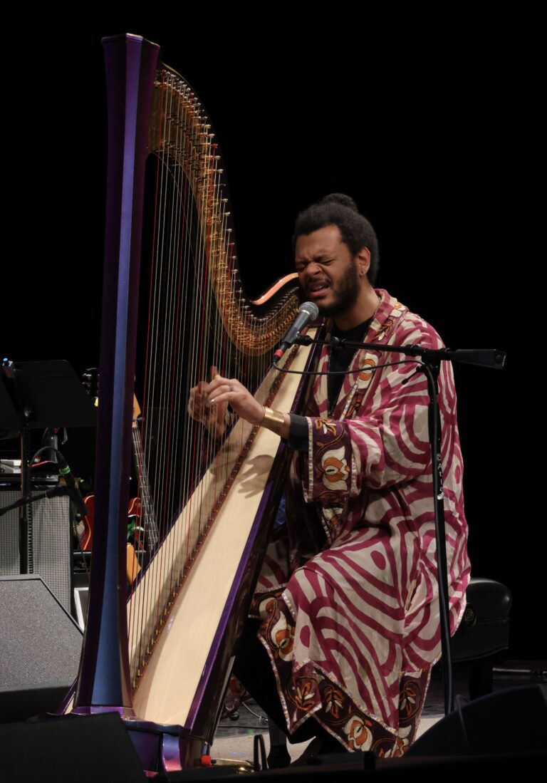 musician on harp