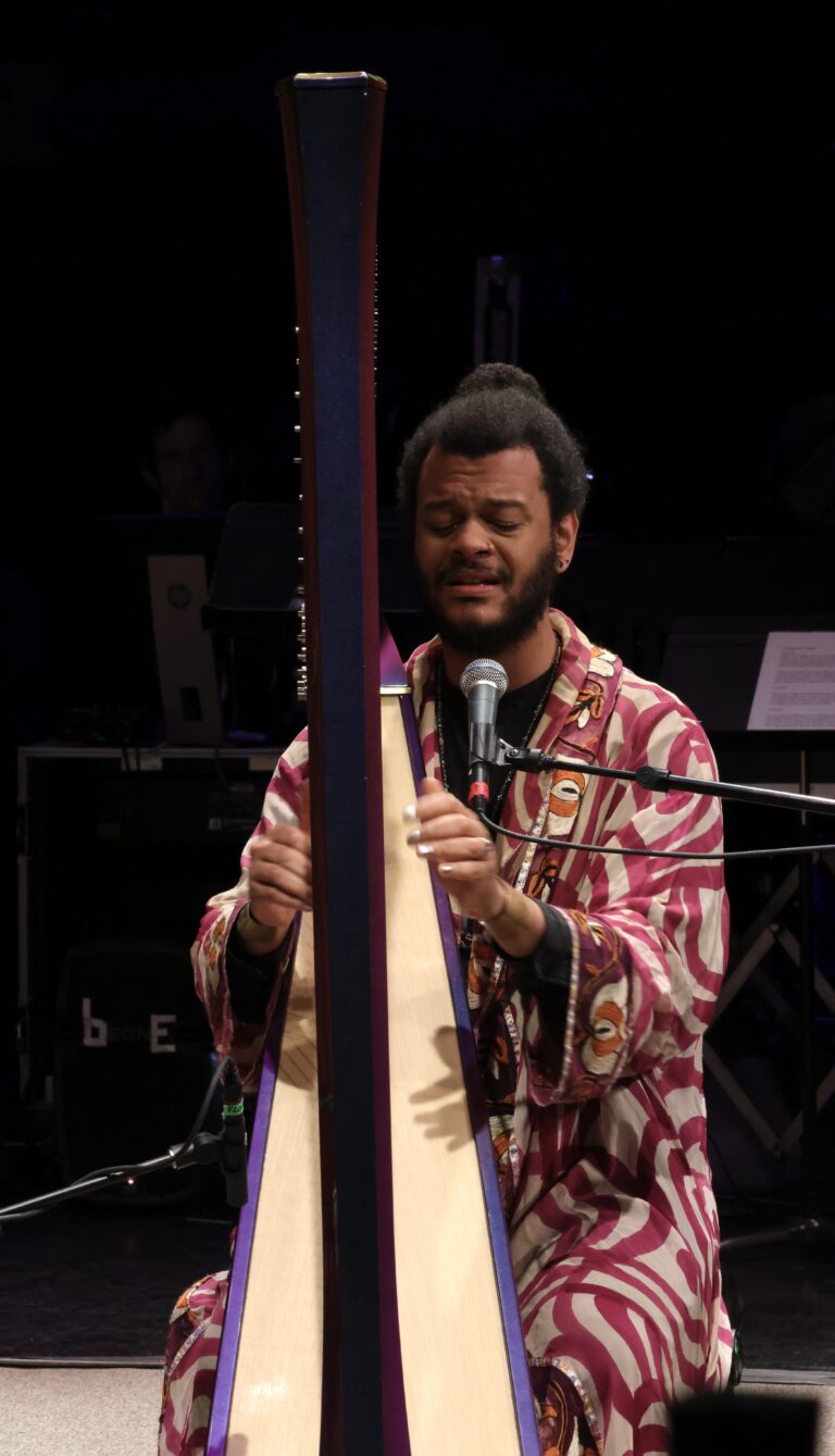 musician