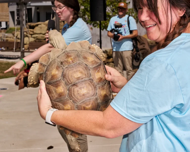 A woman hold up a tortoise for the camera. She's smiling. The tortoise has a brown shell.