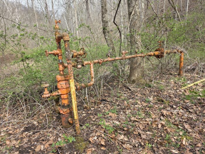 A rusted piece of equipment stands with growth all around in a forest.