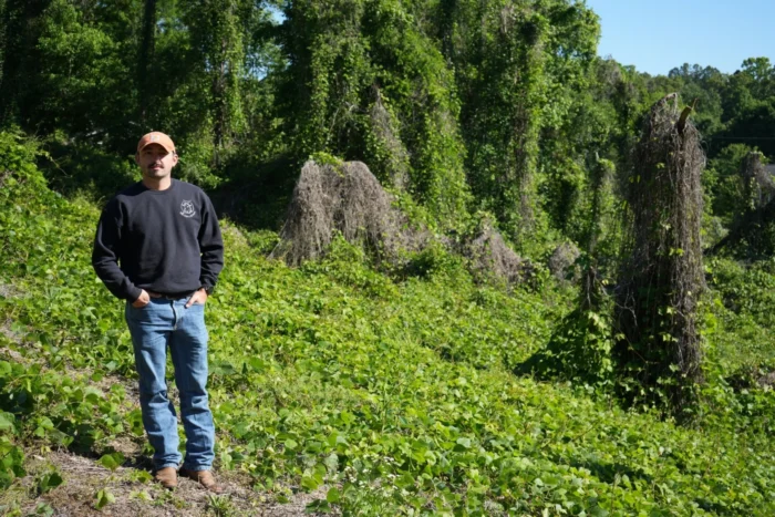 A man wearing a ball cap, long-sleeved black shirt, and blue jeans, stands outside against a backdrop of green vines that have taken over a hillside. It is a sunny, clear day.