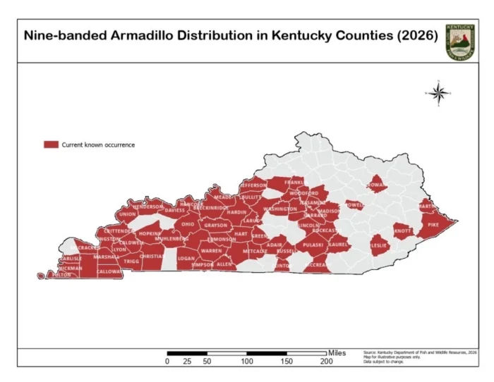 A map detailing where armadillos are showing up in Kentucky.