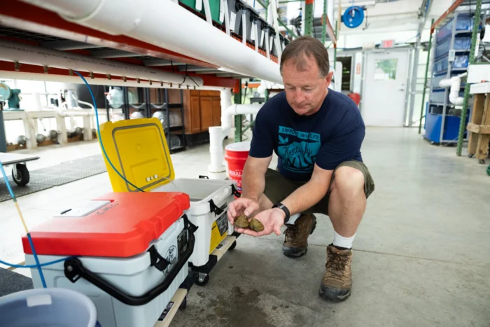 A man crouches down to survey some freshwater mussels. Next to him are coolers.