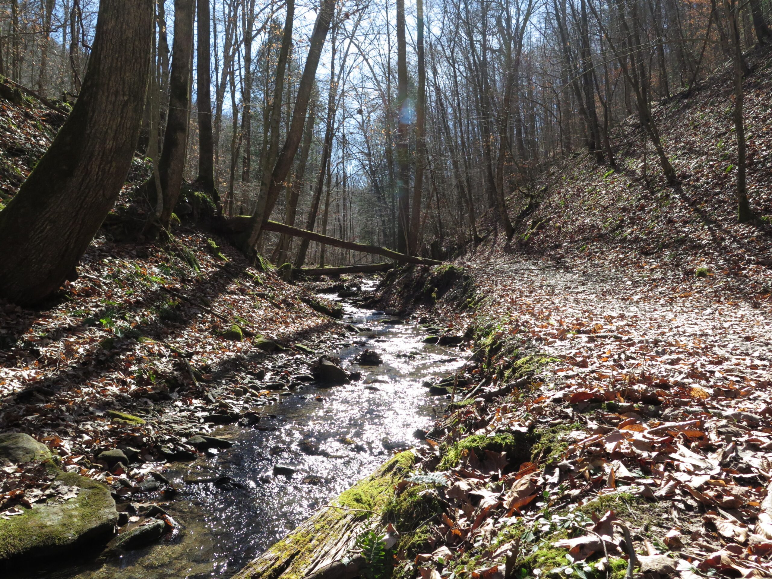 Proposed EPA Rule Removes Protections From Drinking Water Sources