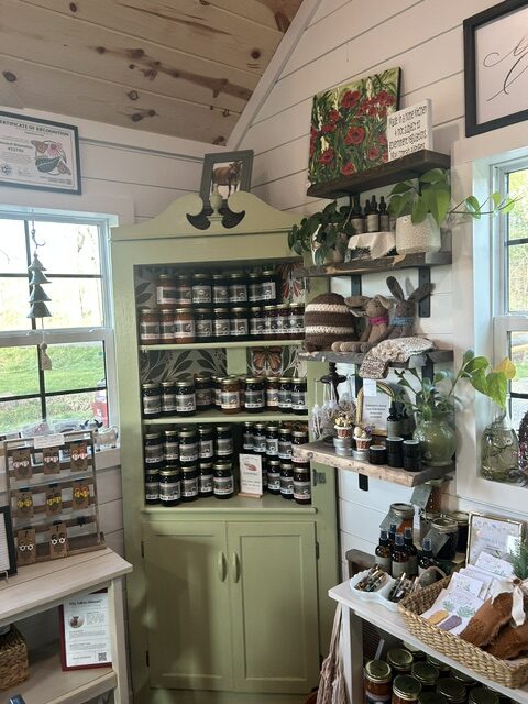 A green shelf in the corner of a room. There are jars stacked on the shelves. It is surrounded by other products. 