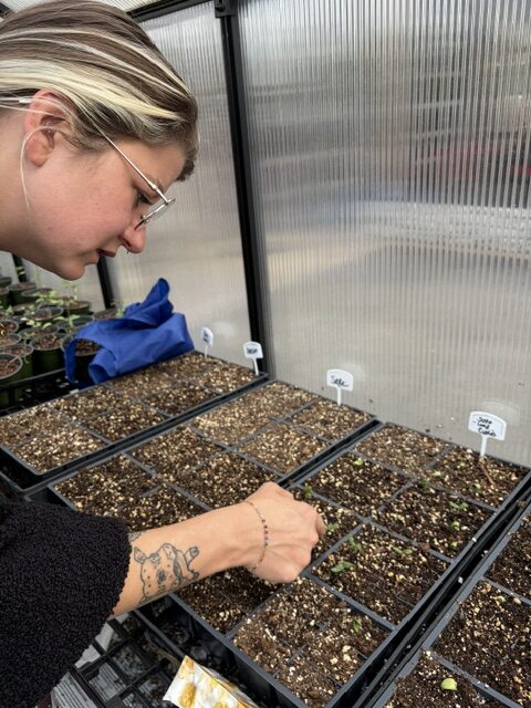 A portrait photo of a white woman pointing toward a box of soil. 