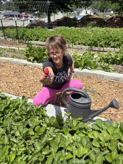 A portrait photo of a white woman squatting behind a garden bed. She is offering a strawberry.