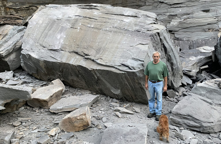 A man in a green shirt, with a dog, stands in for scale near a boulder. It it much taller than he is.