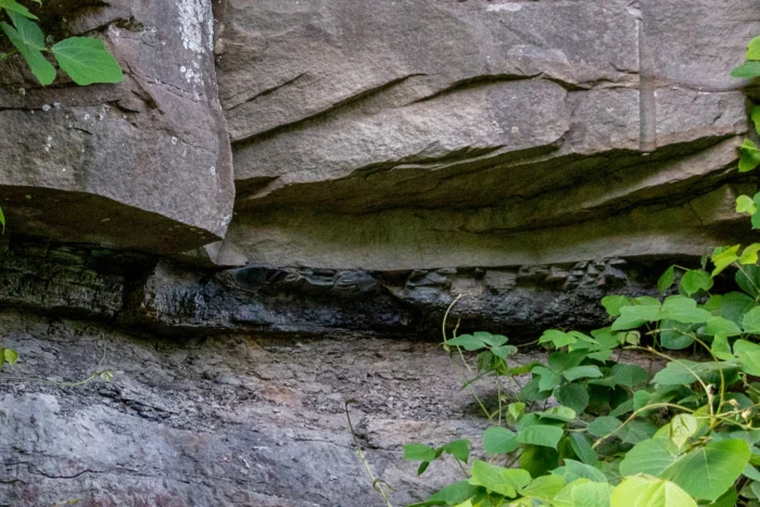 A closeup of a coal seam in the side of a rock.