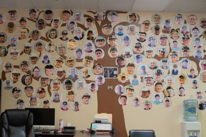 A wall of photos are shown. The photos are part of a paper tree on the wall.