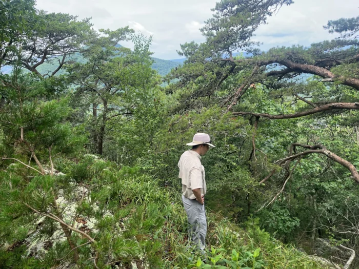 A landscape photo of a man wearing white standing on a mountain. He is surrounded by trees. 