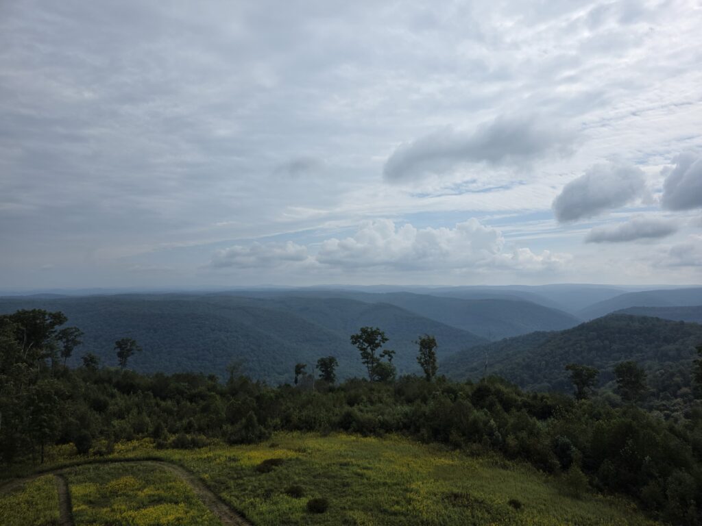Red Oak Fire Tower opens for overnight reservations in Monongahela Forest