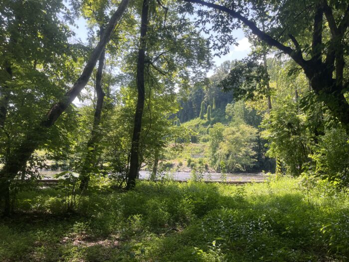 Bryson City Island Park on a clear day. Kudzu can been seen growing.